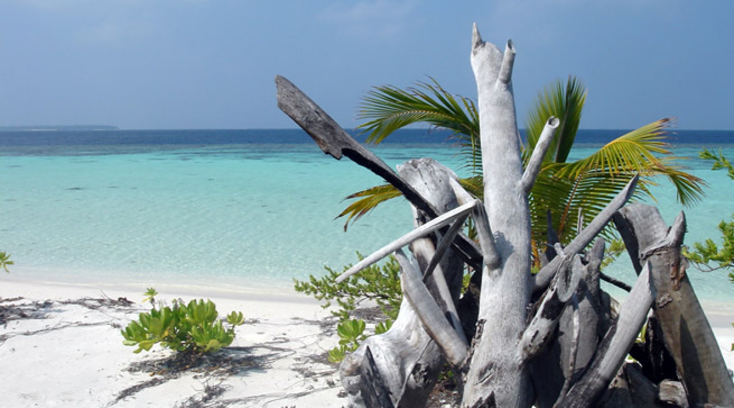 Vommuli Island Maldives