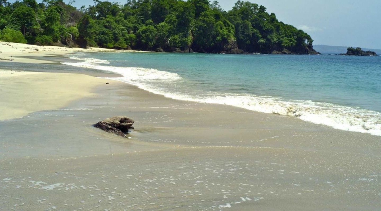 pearl island in panama 4