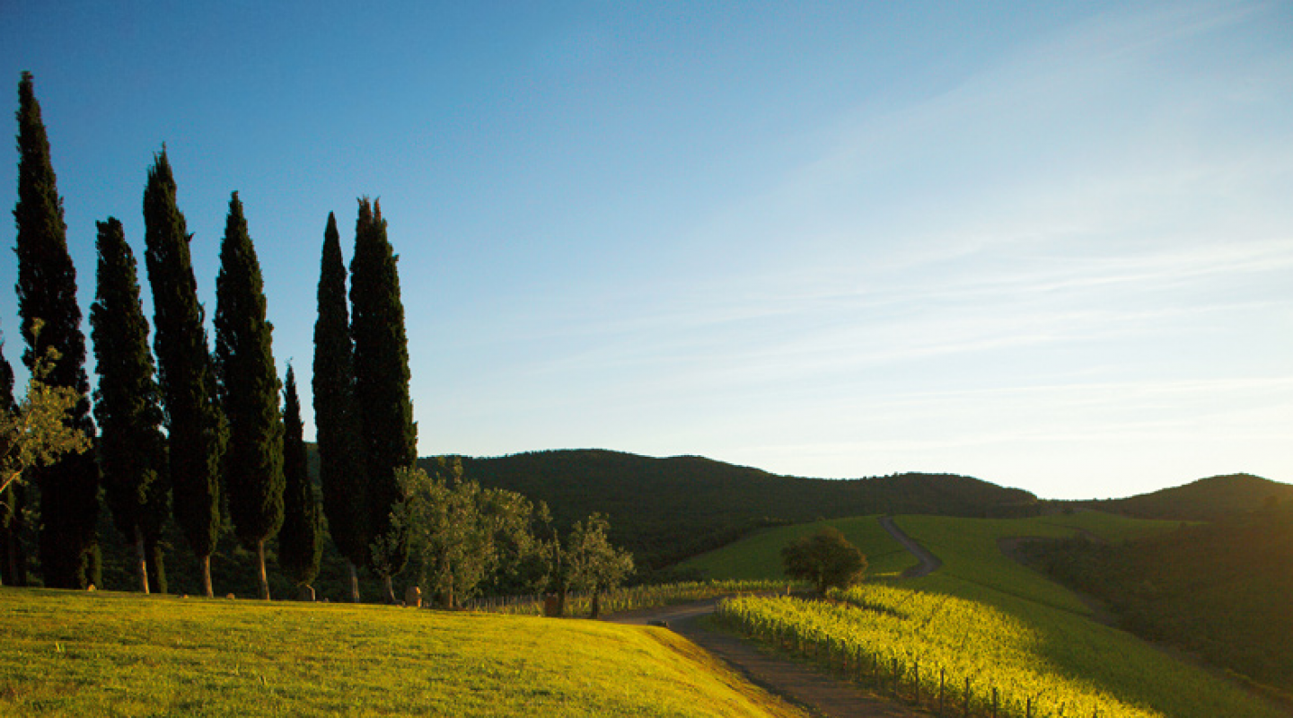 castiglion del bosco 10