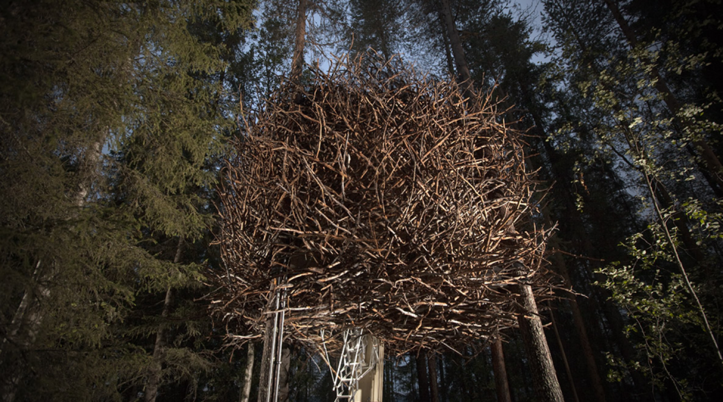 treehotel 10
