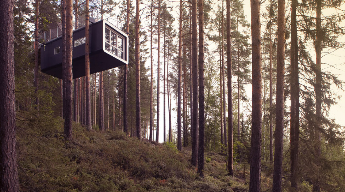 treehotel 2