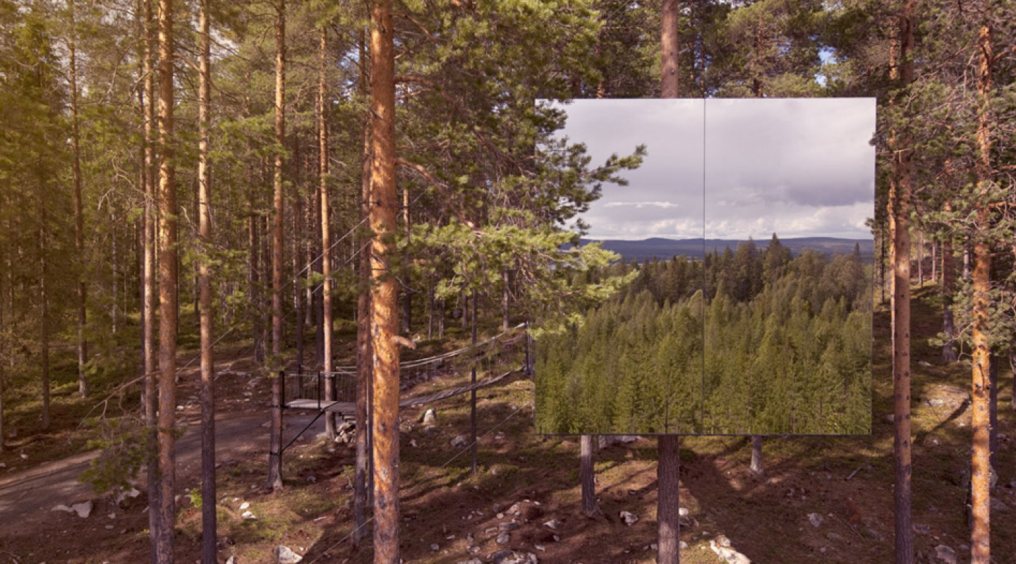treehotel 6