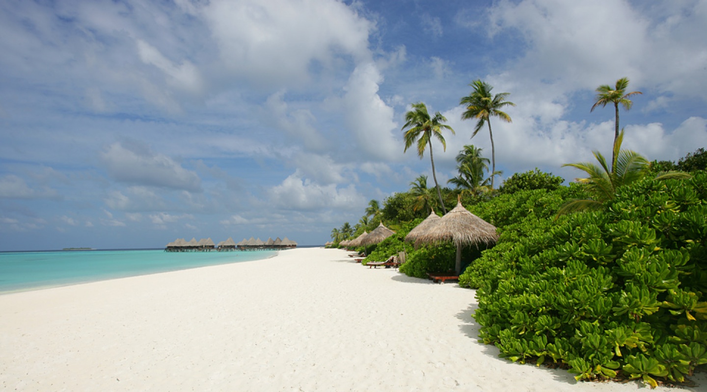 Coco Palm Resort, Maldives