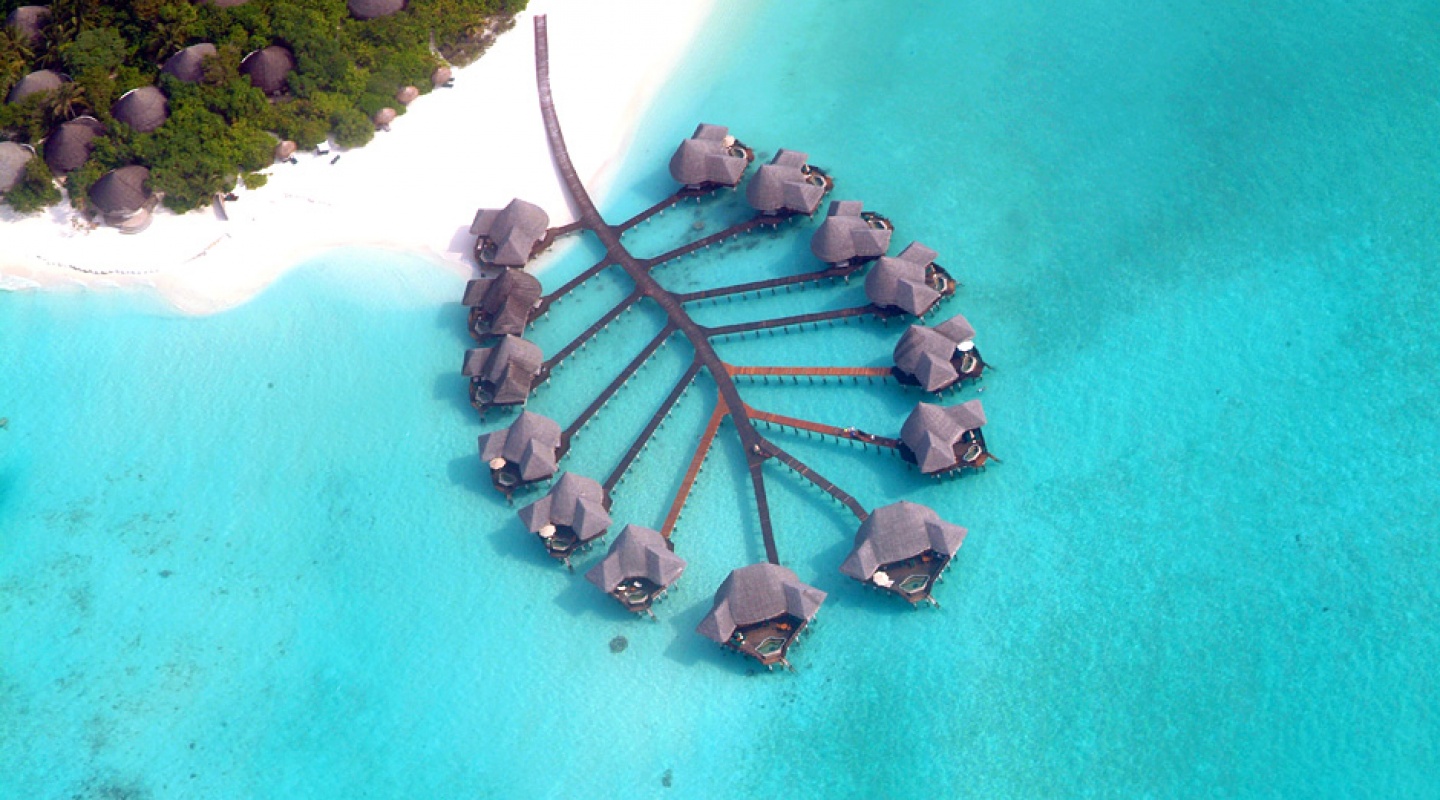 Coco Palm Resort, Maldives4