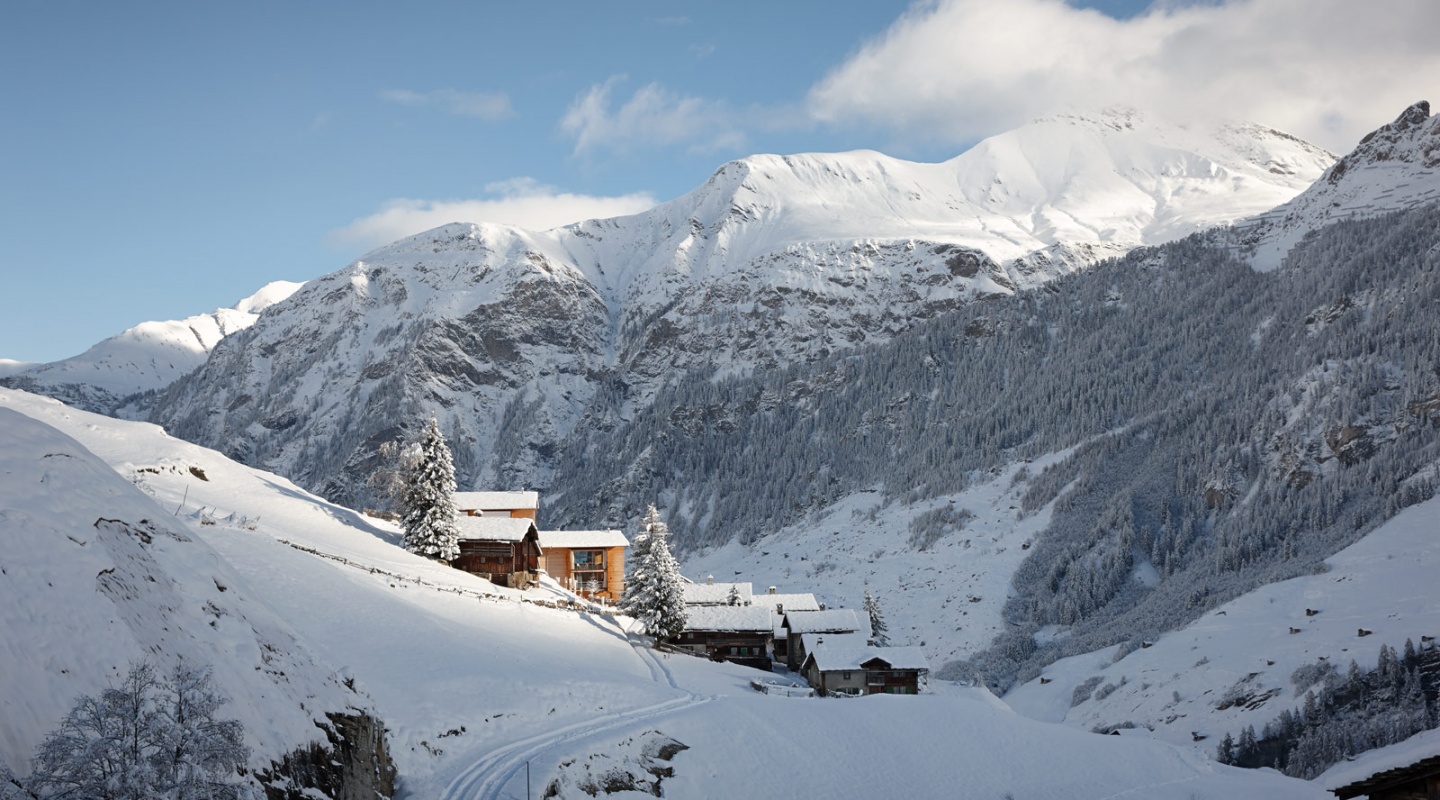 Timber Houses in Leis, Switzerland