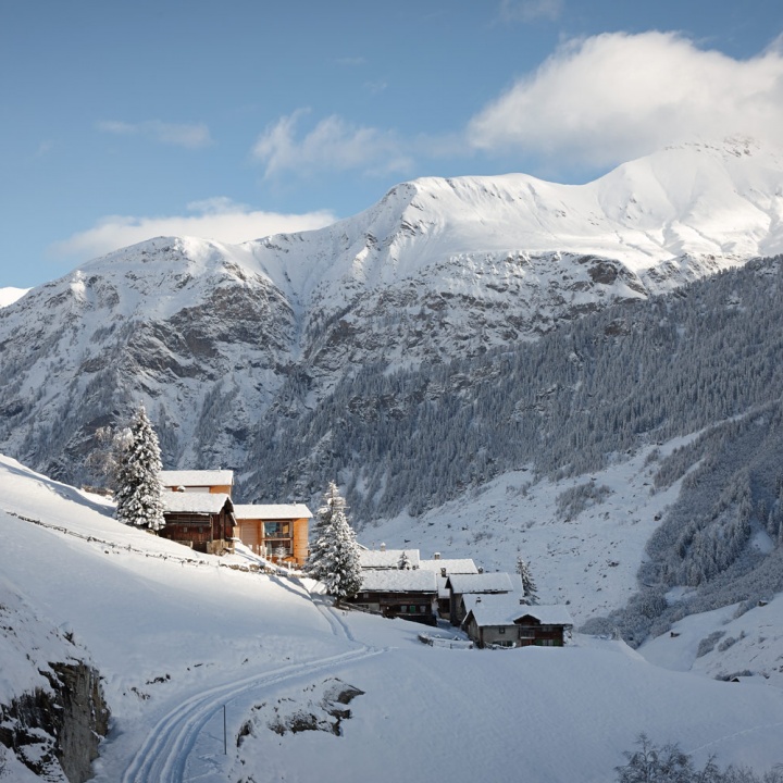 Timber Houses in Leis, Switzerland