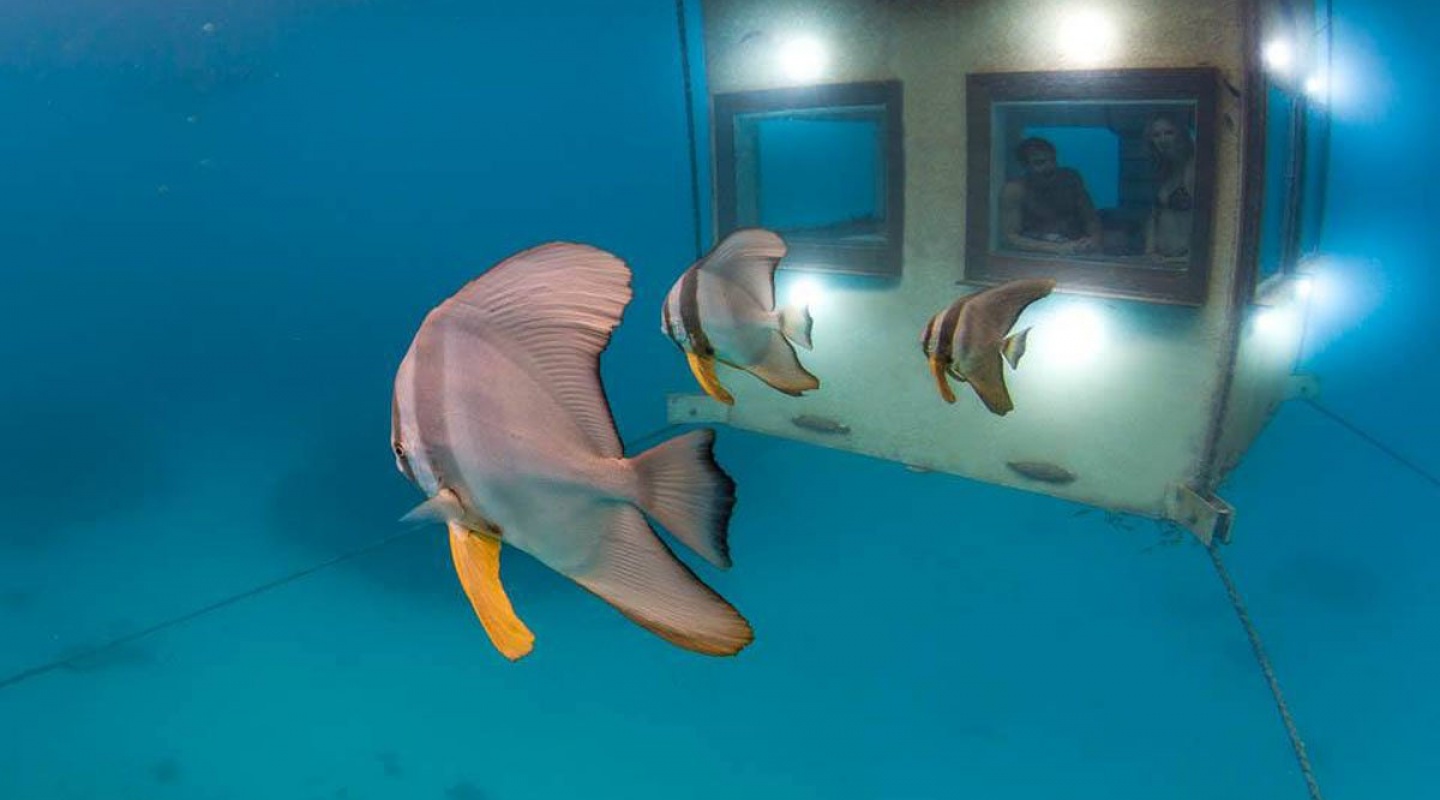 the manta underwater room 2