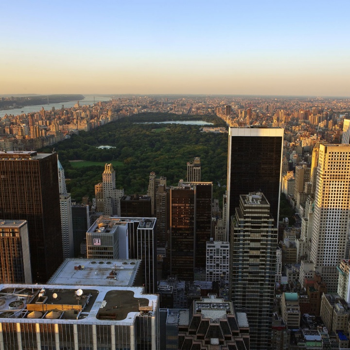 baccarat residences in new york 14