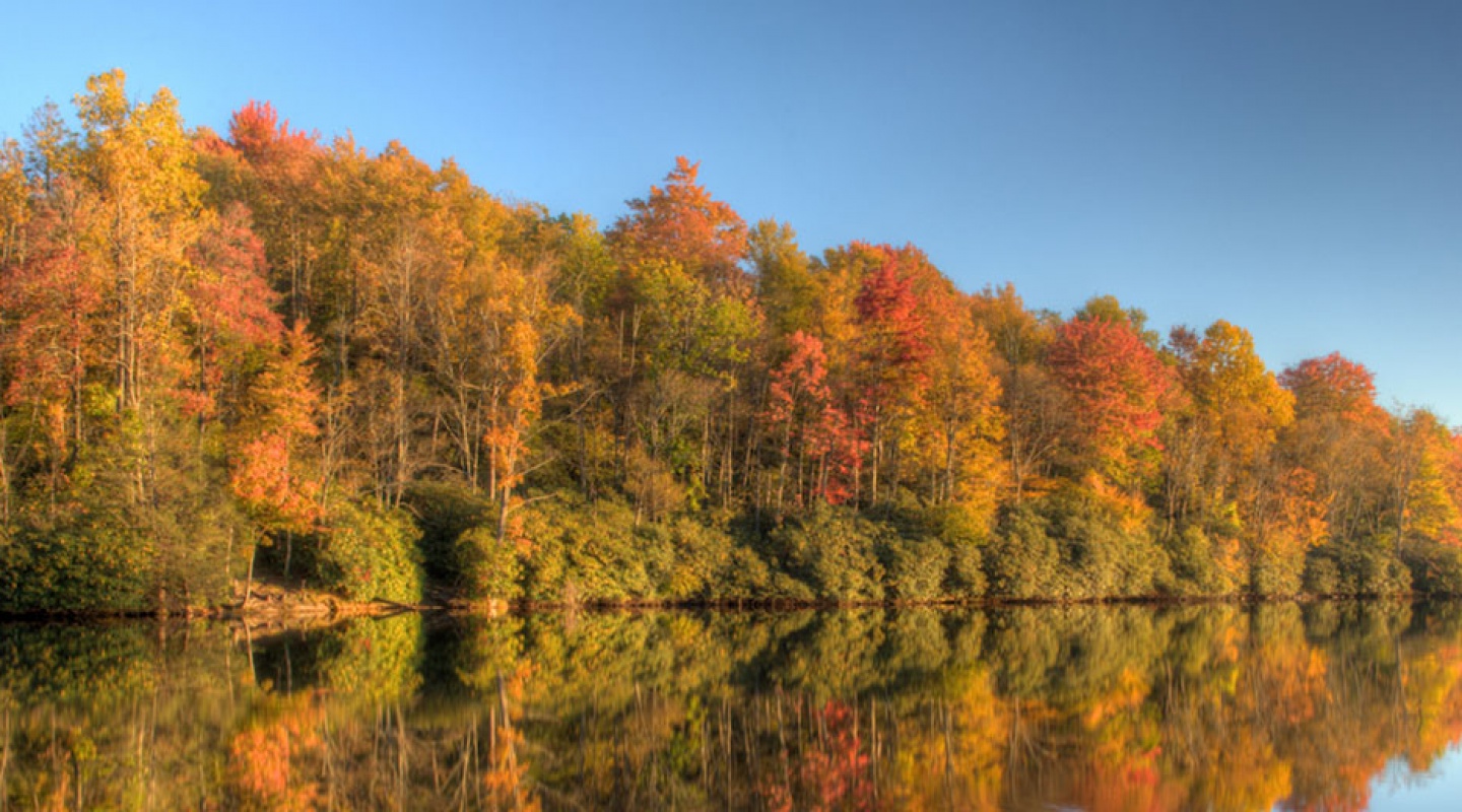 forest lake country club