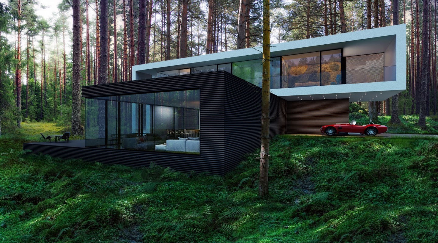 2 house in the woods by alexander zhidkov