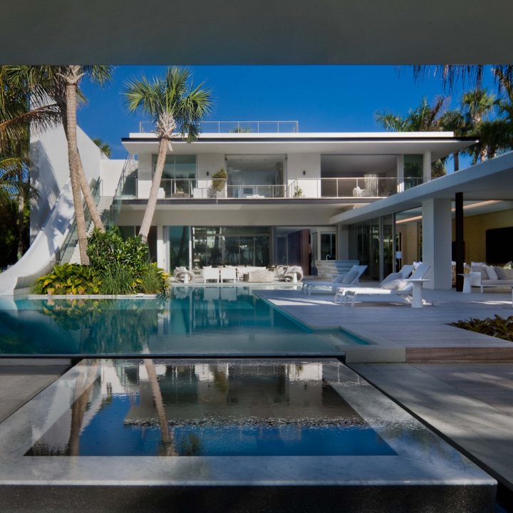 pine tree miami by saota1