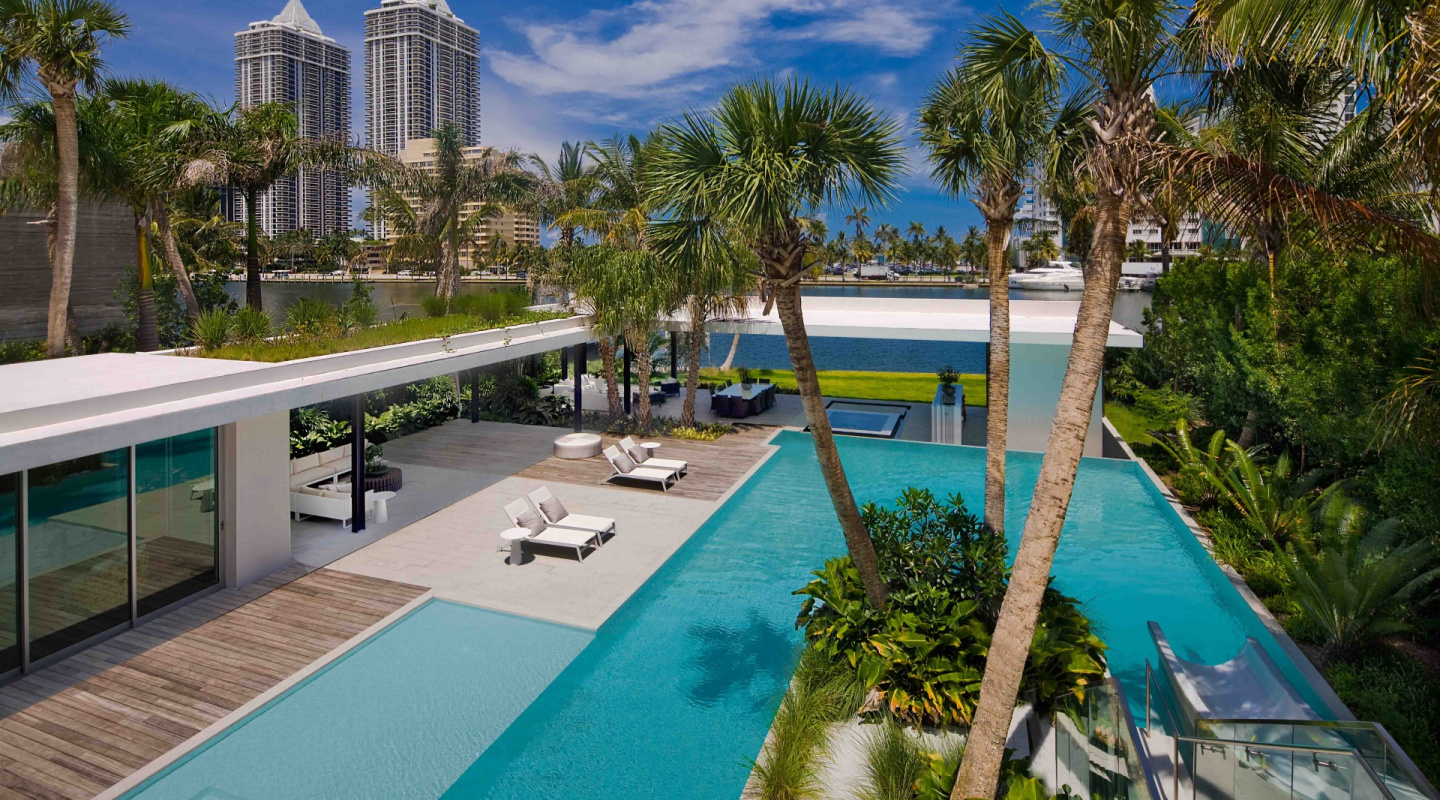 pine tree miami by saota7
