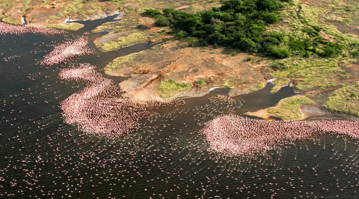 3 ol jogi wildlife conservancy