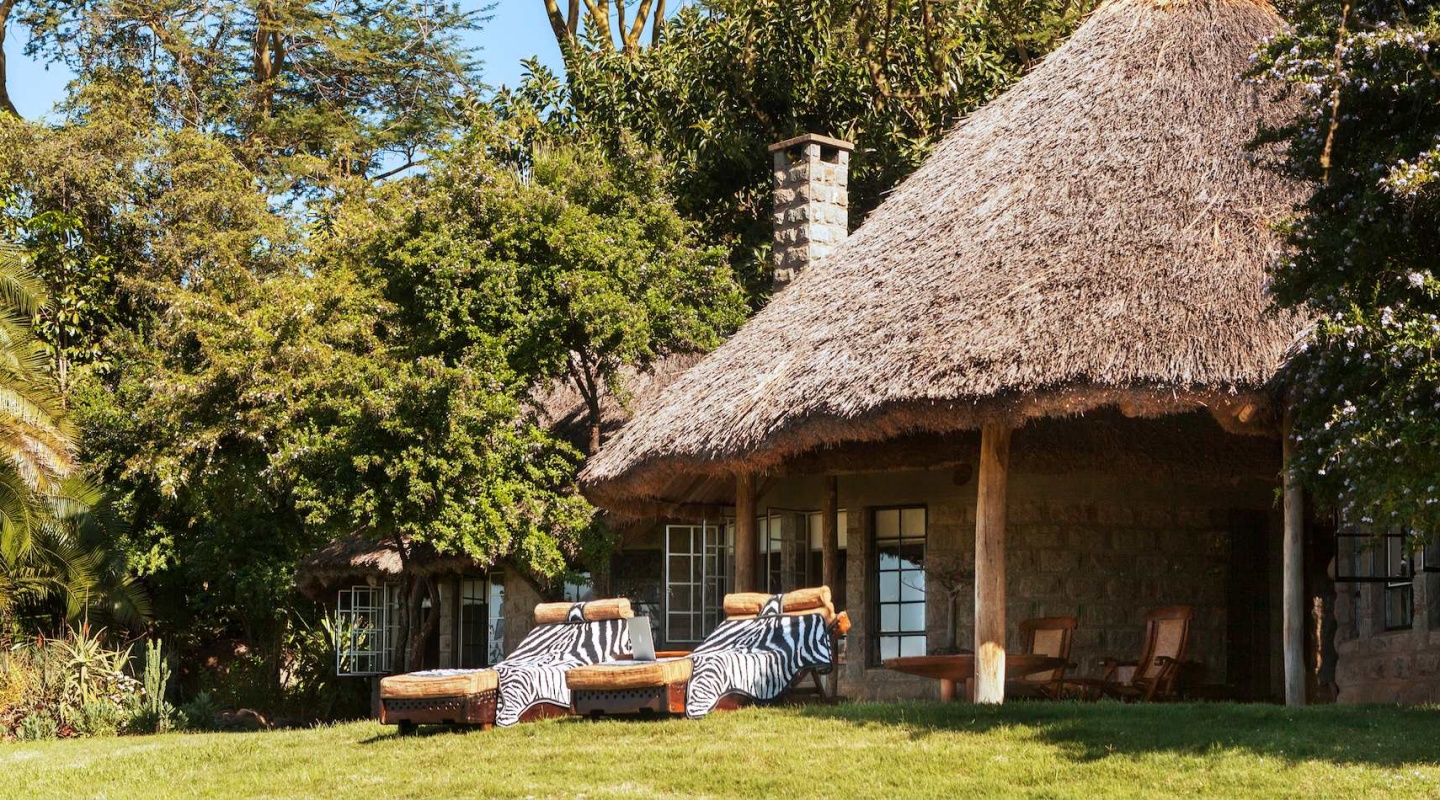 4 ol jogi wildlife conservancy