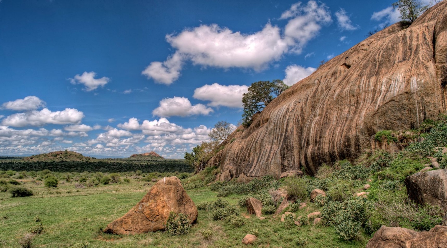 5 ol jogi wildlife conservancy