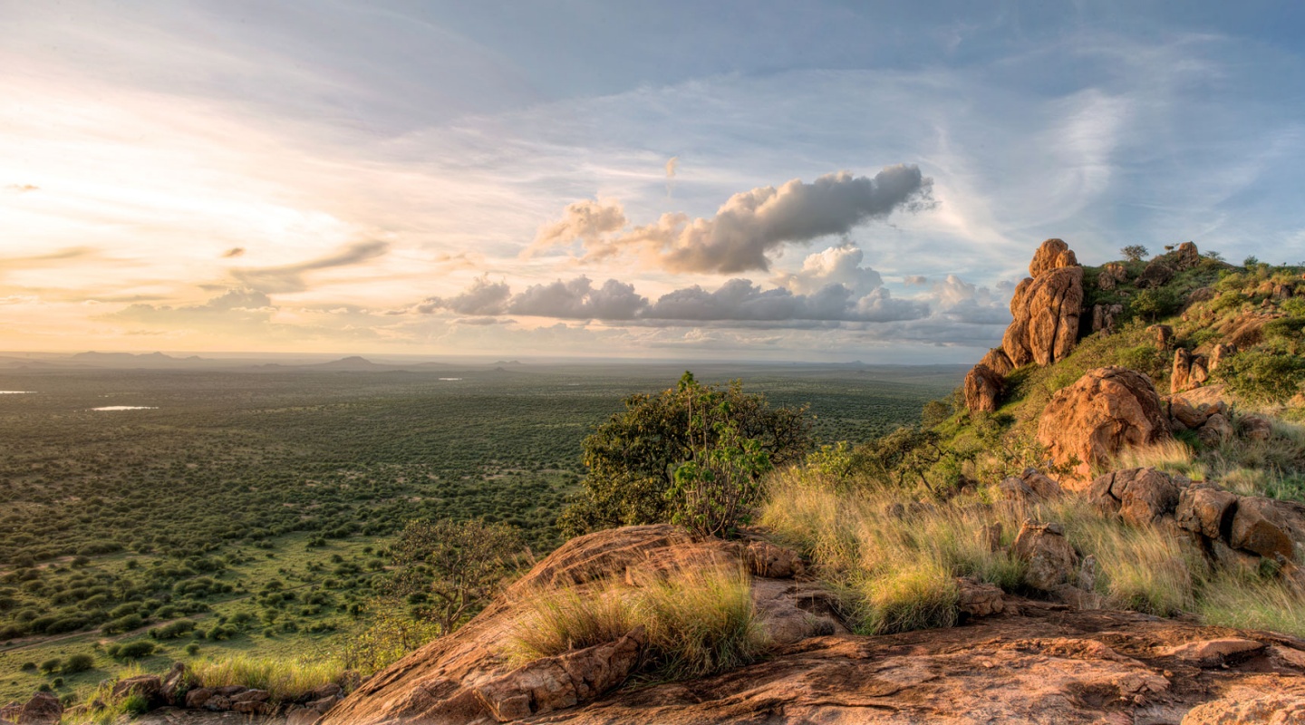 6 ol jogi wildlife conservancy